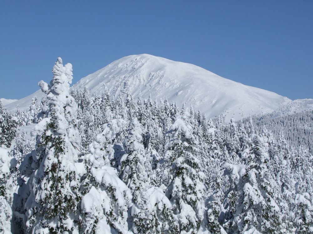 Photograph by Cengiz Yalcin