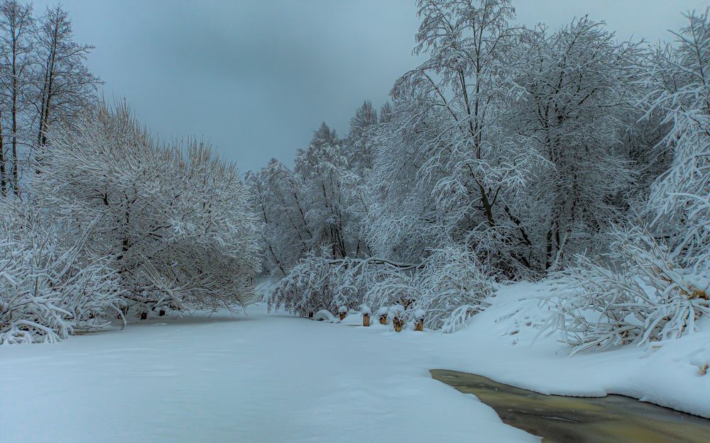 Фотография автора Швайко Михаил