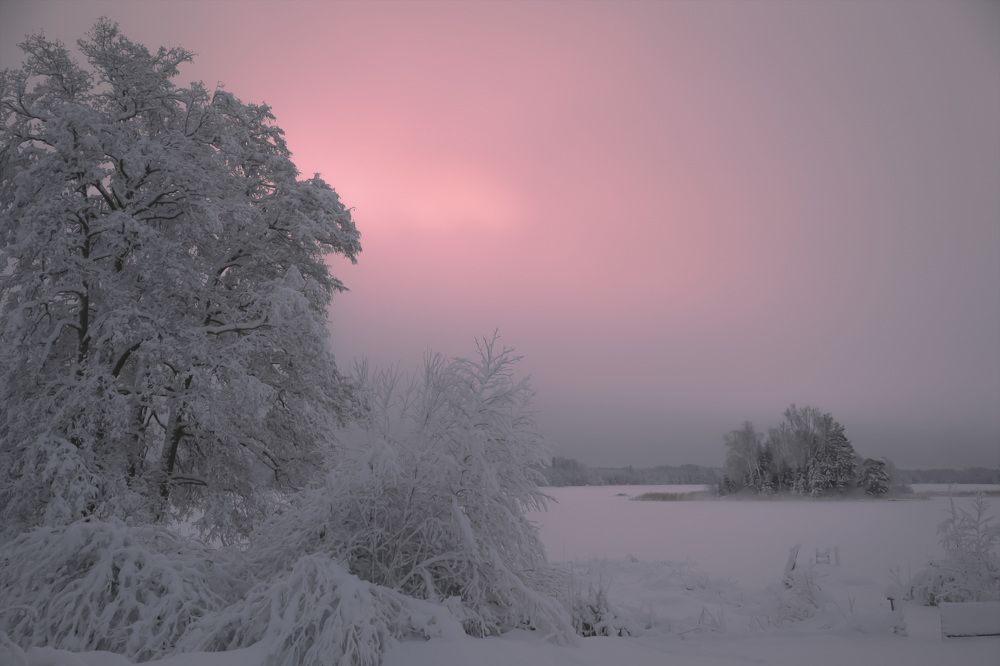 Photograph by Liudmila Drake