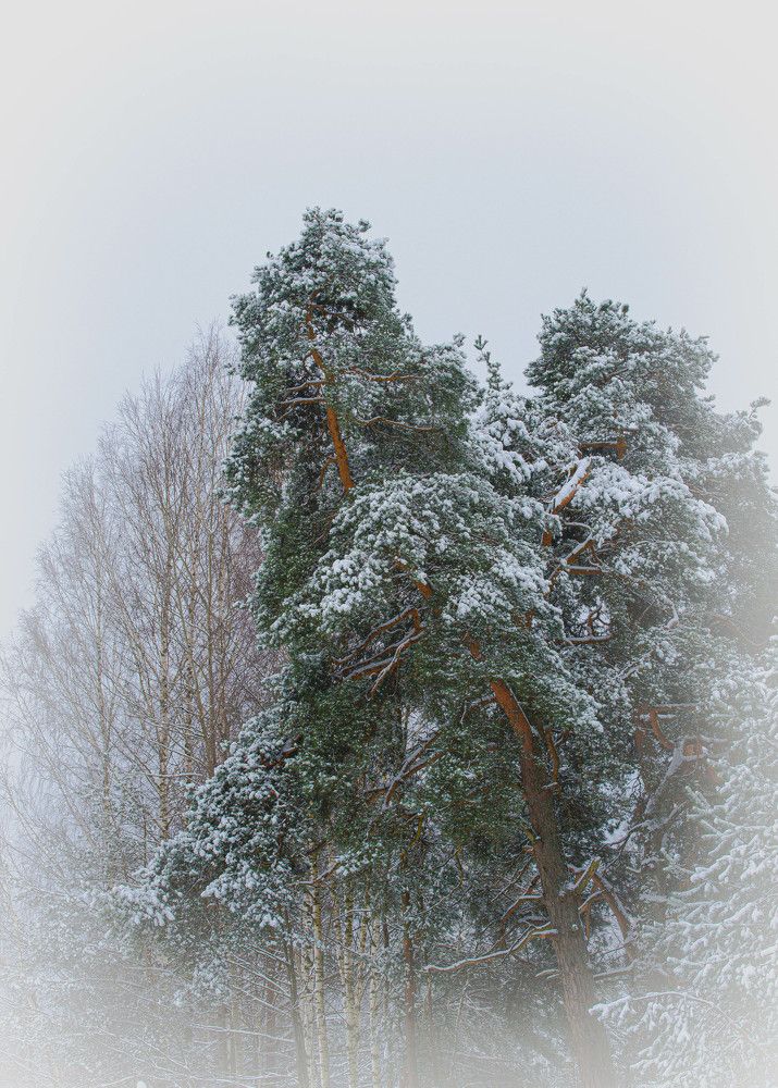 Фотография автора Aлексей Игнатьев