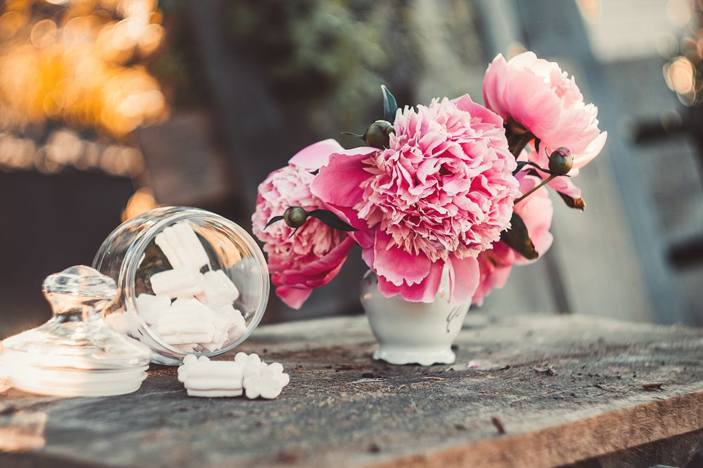 Фотография автора Мария Курицына