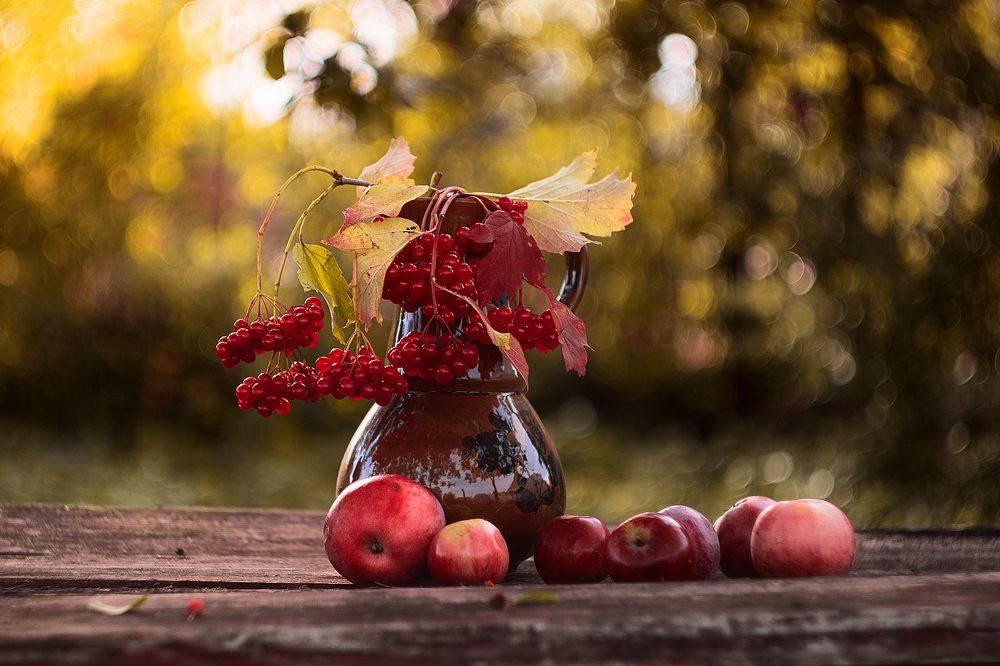 Фотография автора Мария Курицына