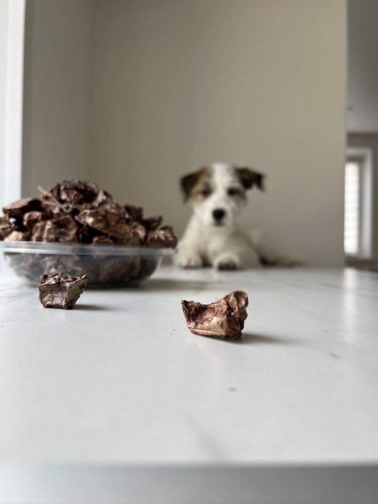 Photograph by Anna Fakhrutdinova