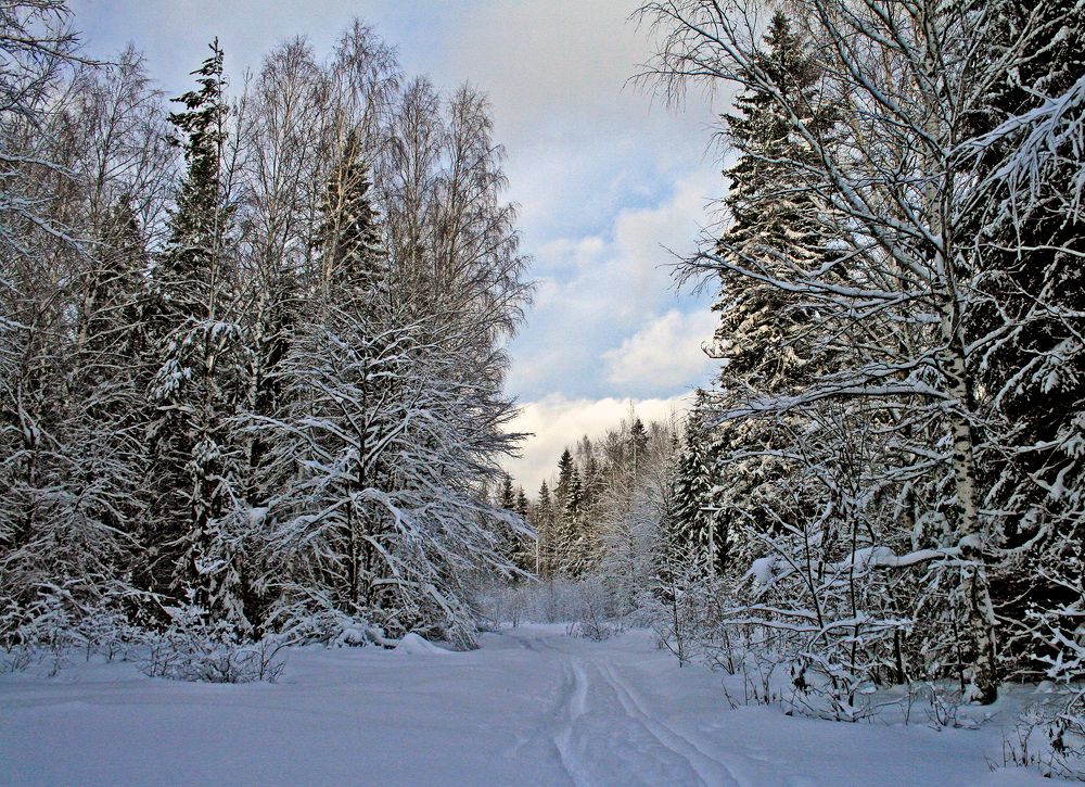 Photograph by Ирина Архипова