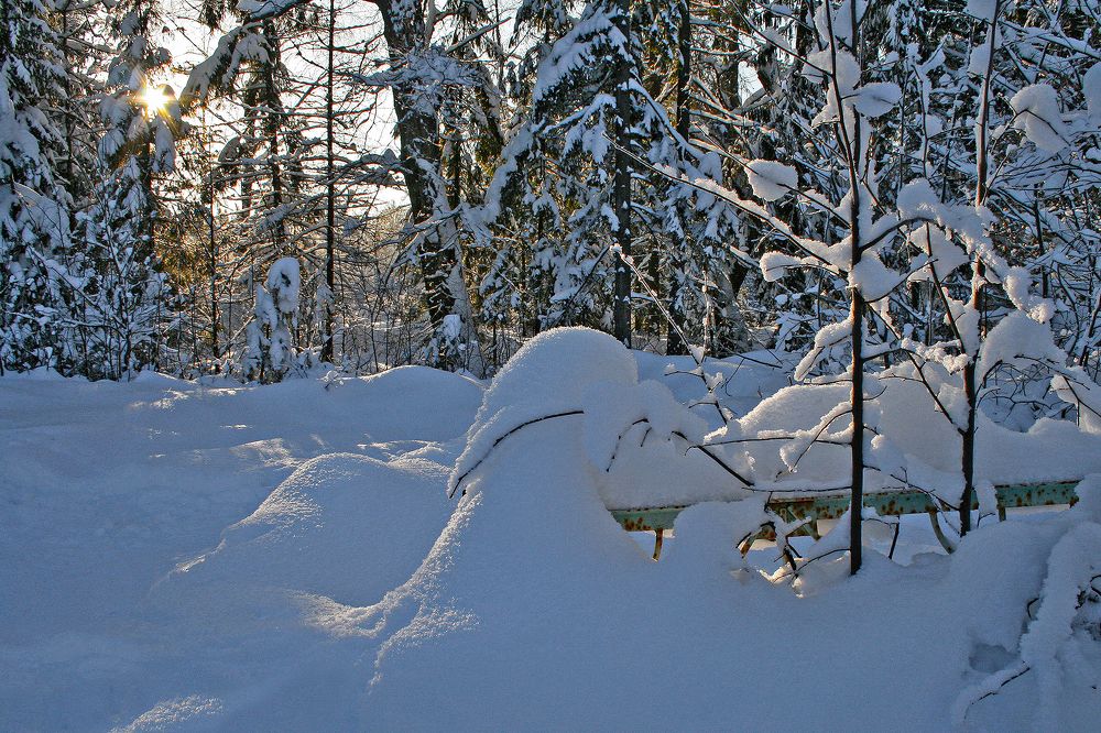 Photograph by Ирина Архипова