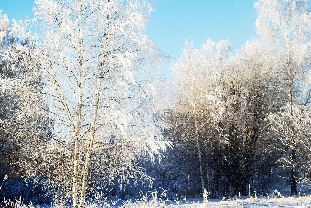 Зимняя сказка