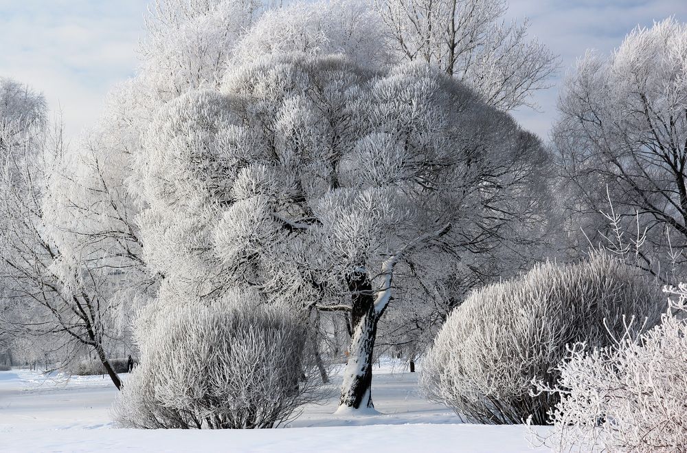 Заморозило