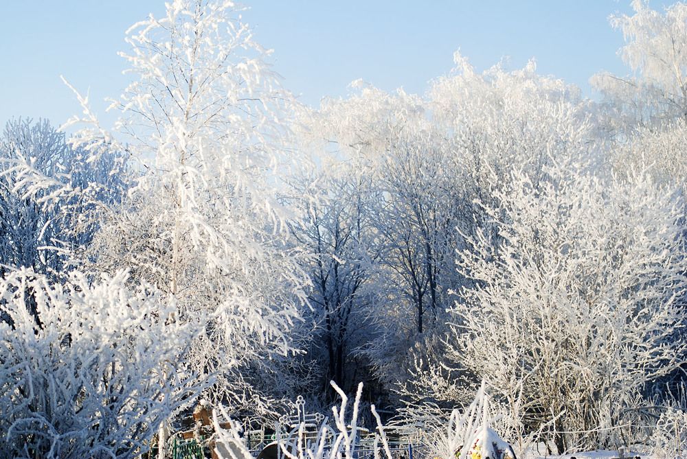 Photograph by Людмила Павловна