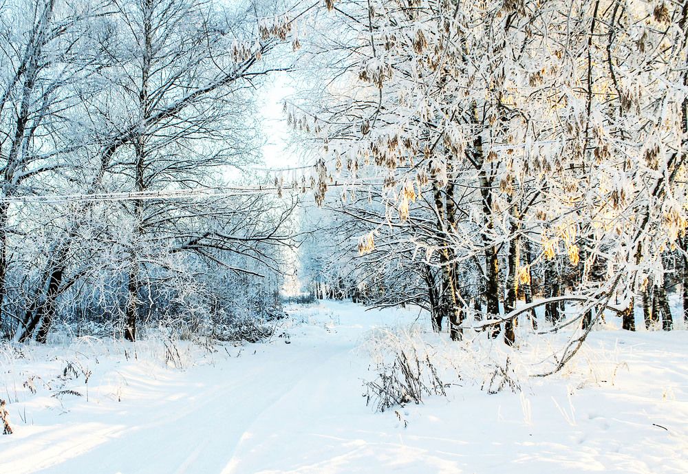 Photograph by Людмила Павловна