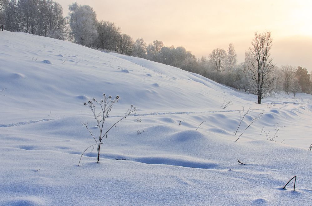 Photograph by Viktor Korotnev