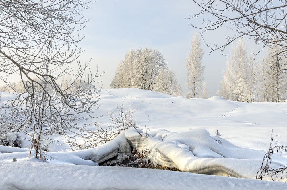 Photograph by Viktor Korotnev