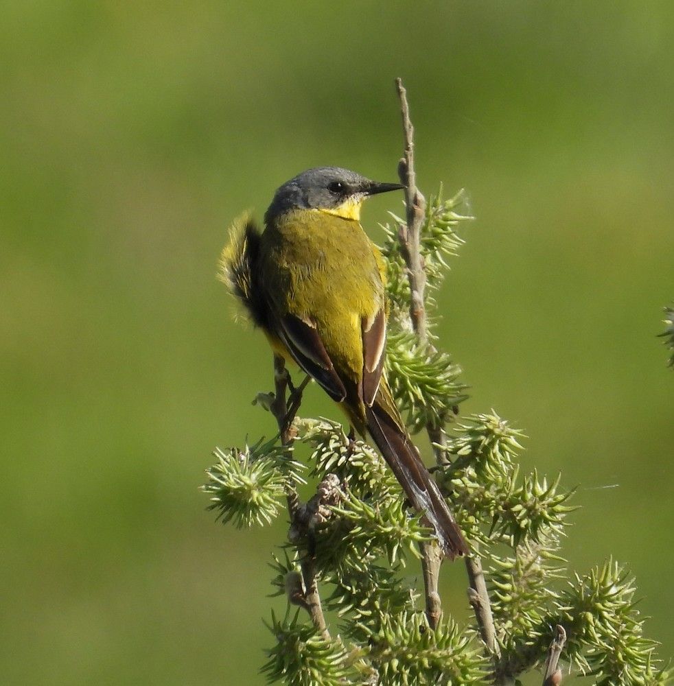 Photograph by Владимир Джерихов