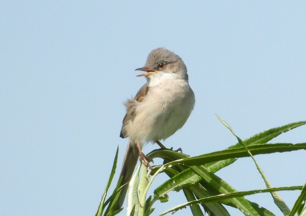 Photograph by Владимир Джерихов