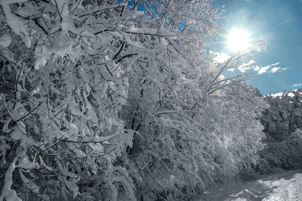 Photograph by Виталий Шкадинов