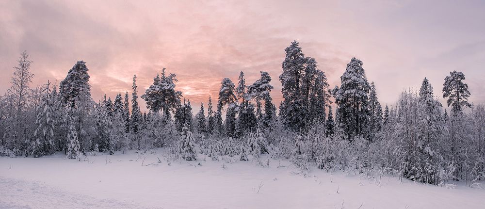 Photograph by Алексей Романов