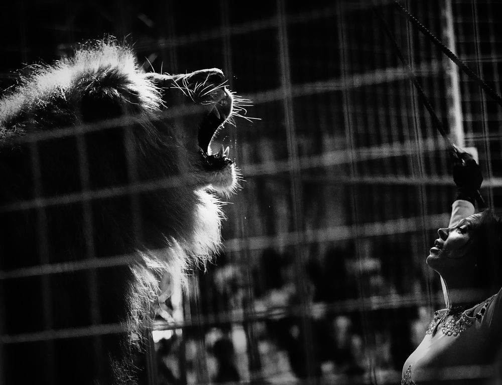 Фотография автора Наталья Новикова