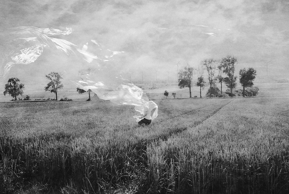 Wandering in the fields
