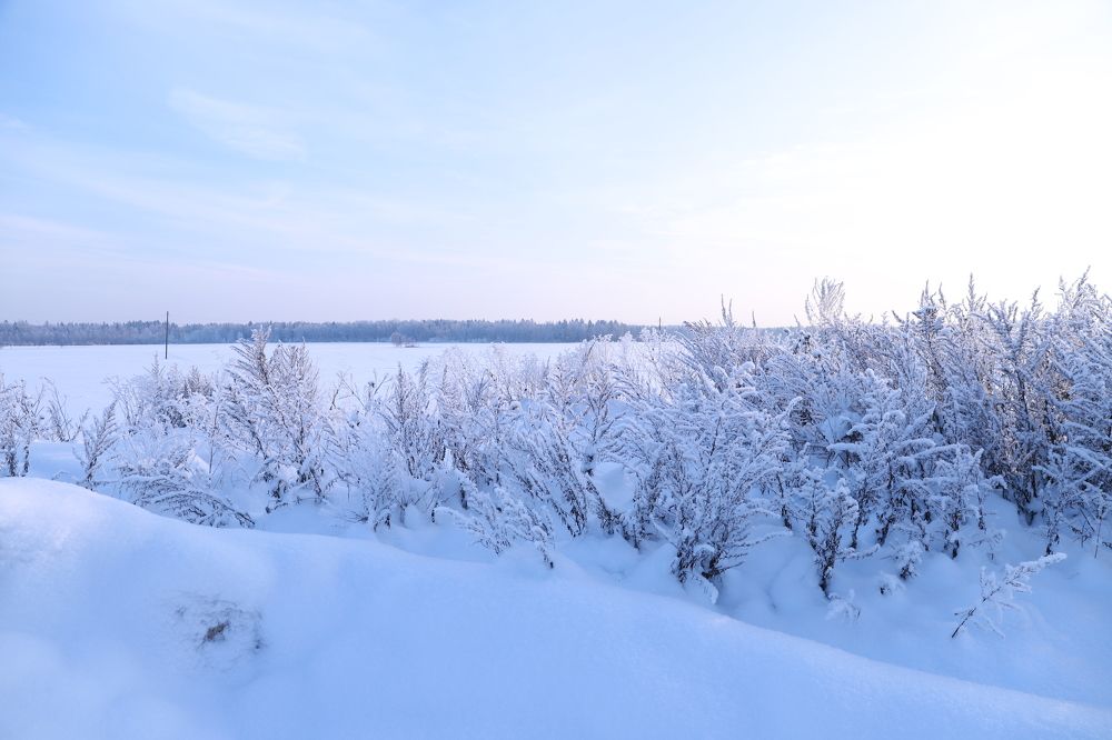 Photograph by Елена Тимченко