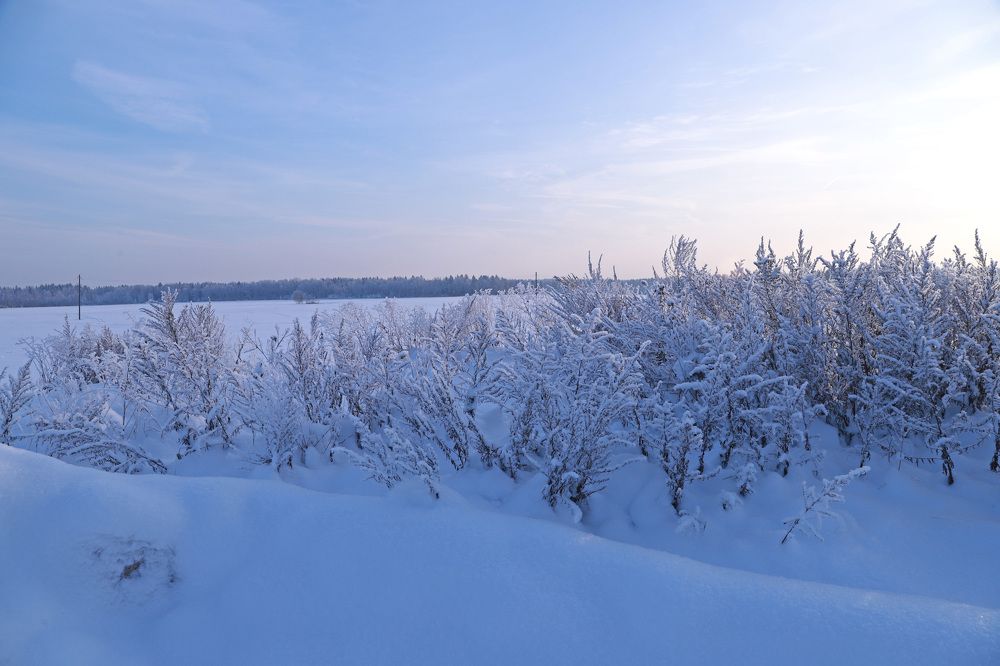 Photograph by Елена Тимченко