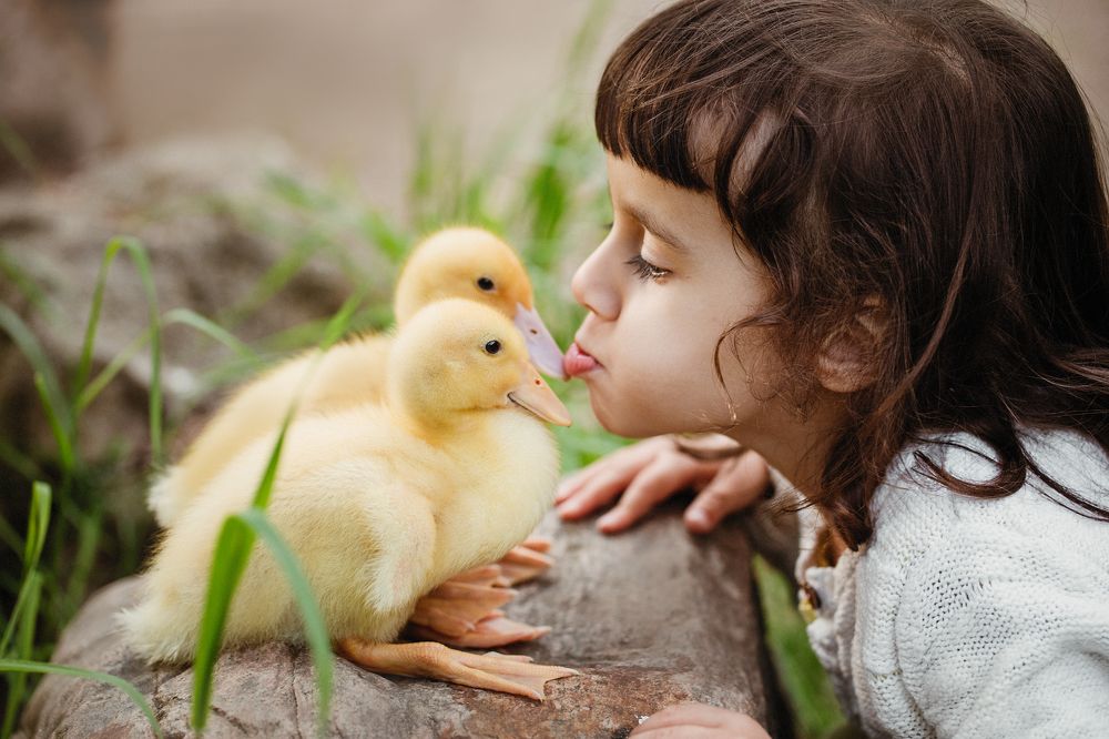 Photograph by Елена Тульчинская