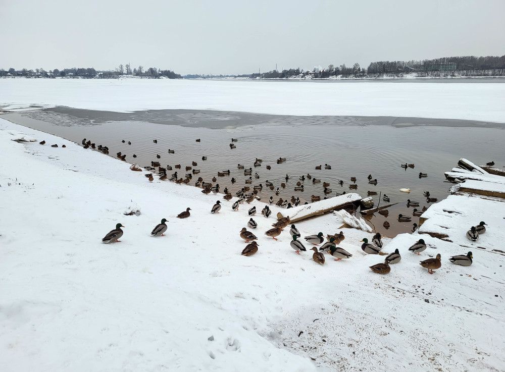 Photograph by Lubov Klepikovskaya