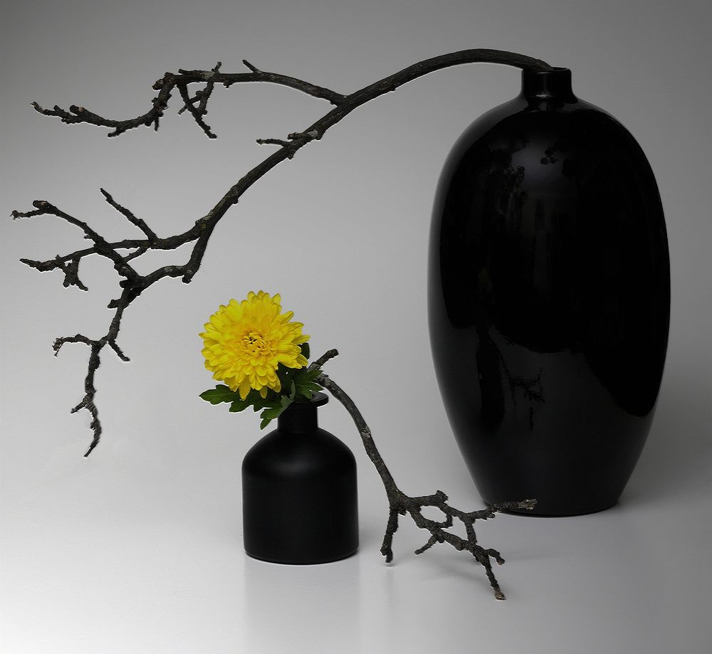 Photograph by Заболотская Ольга