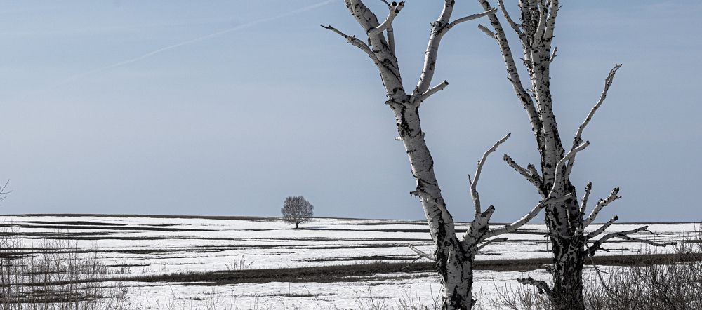 Photograph by Сергей Синягин