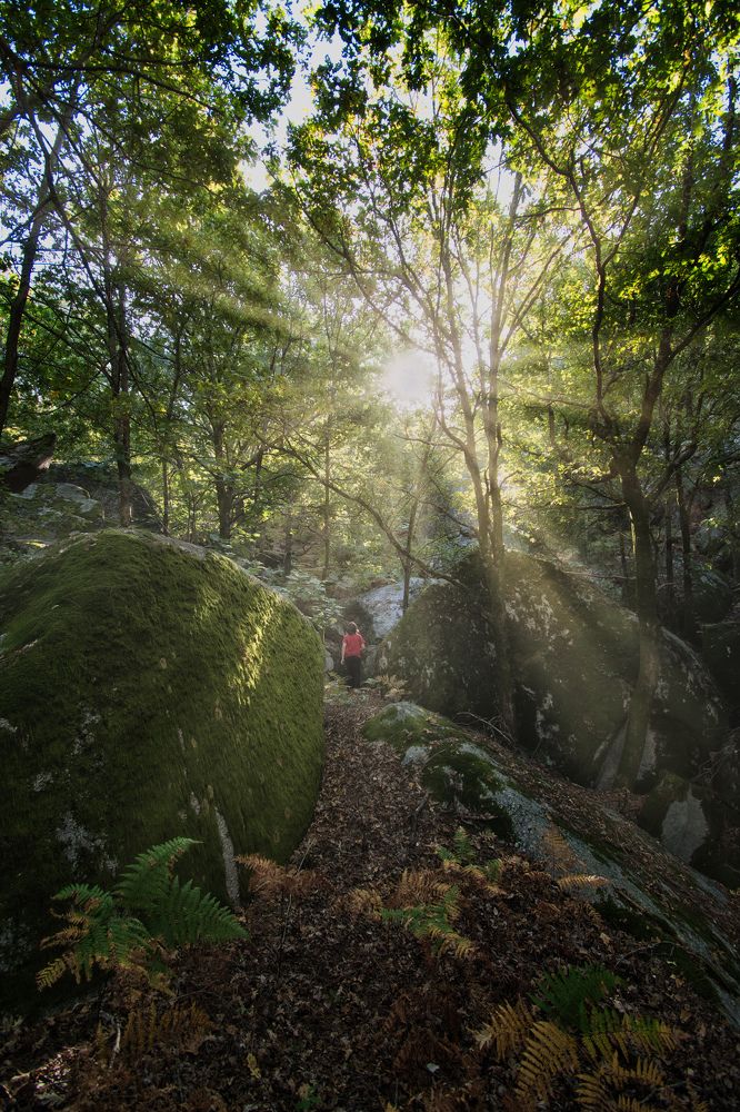 Фотография автора Rui martins