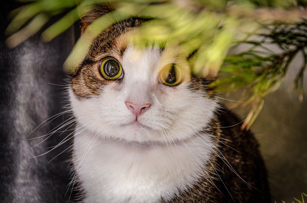 Photograph by Олег