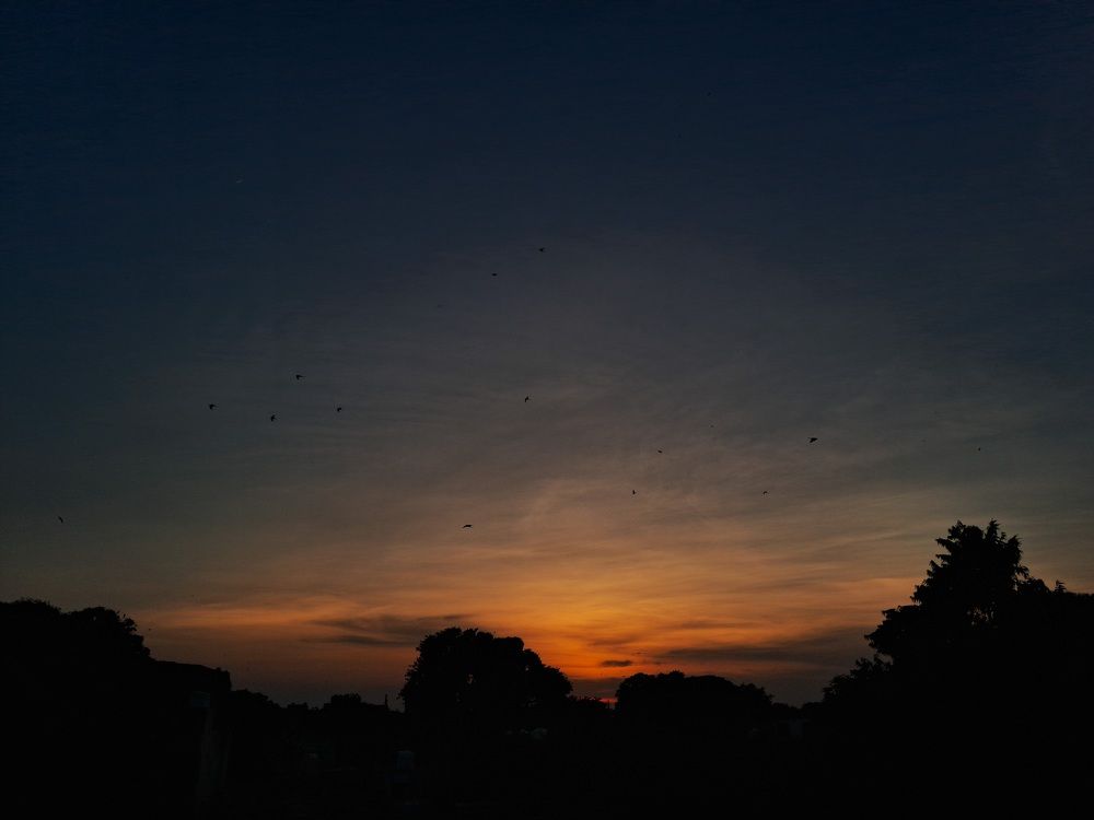 Photograph by Ananaya