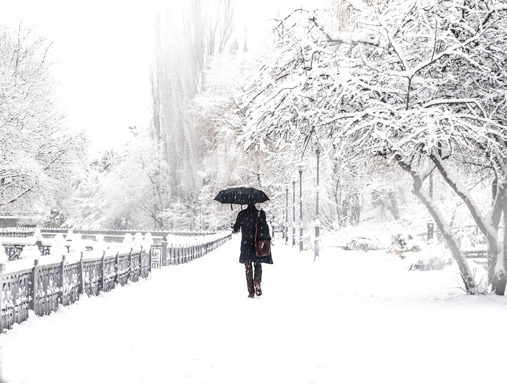 Photograph by Валерий Рябцев