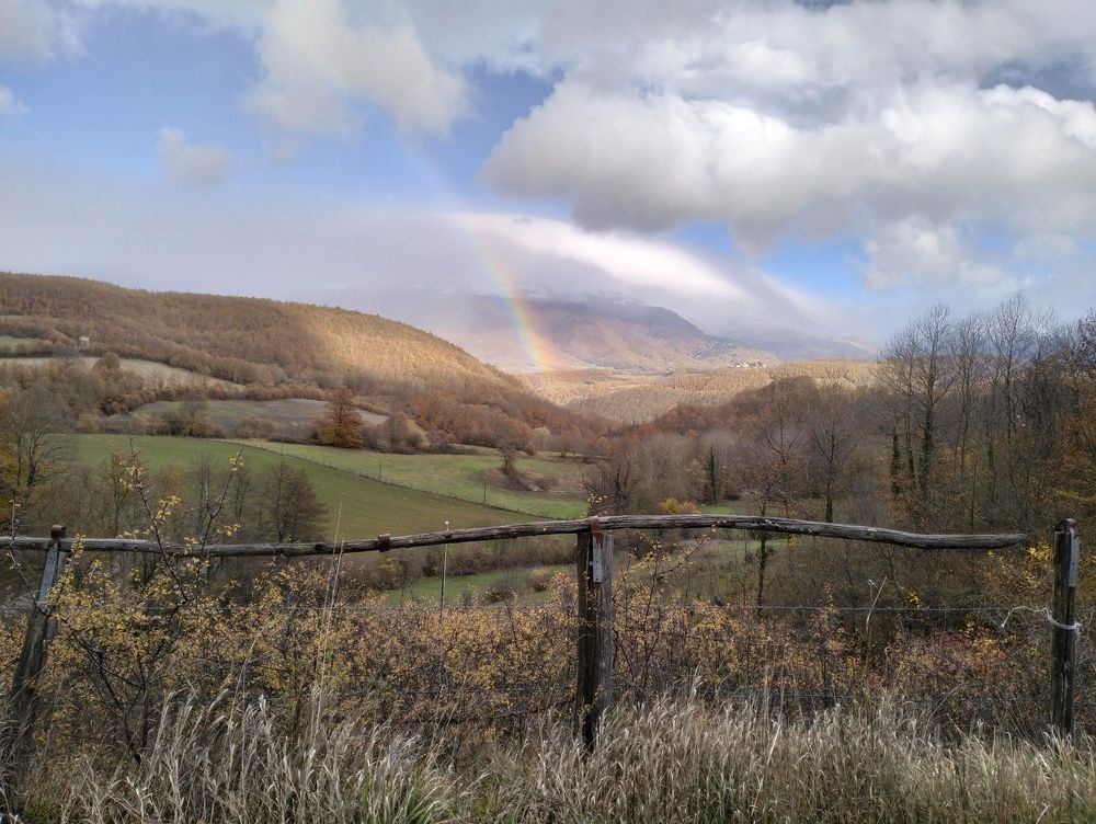 Photo #10029397