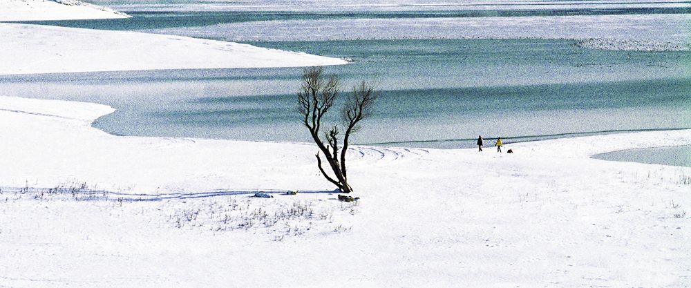Photograph by Валерий Рябцев