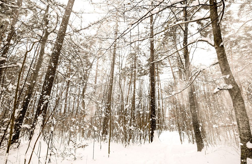 Photograph by Sonja Räth