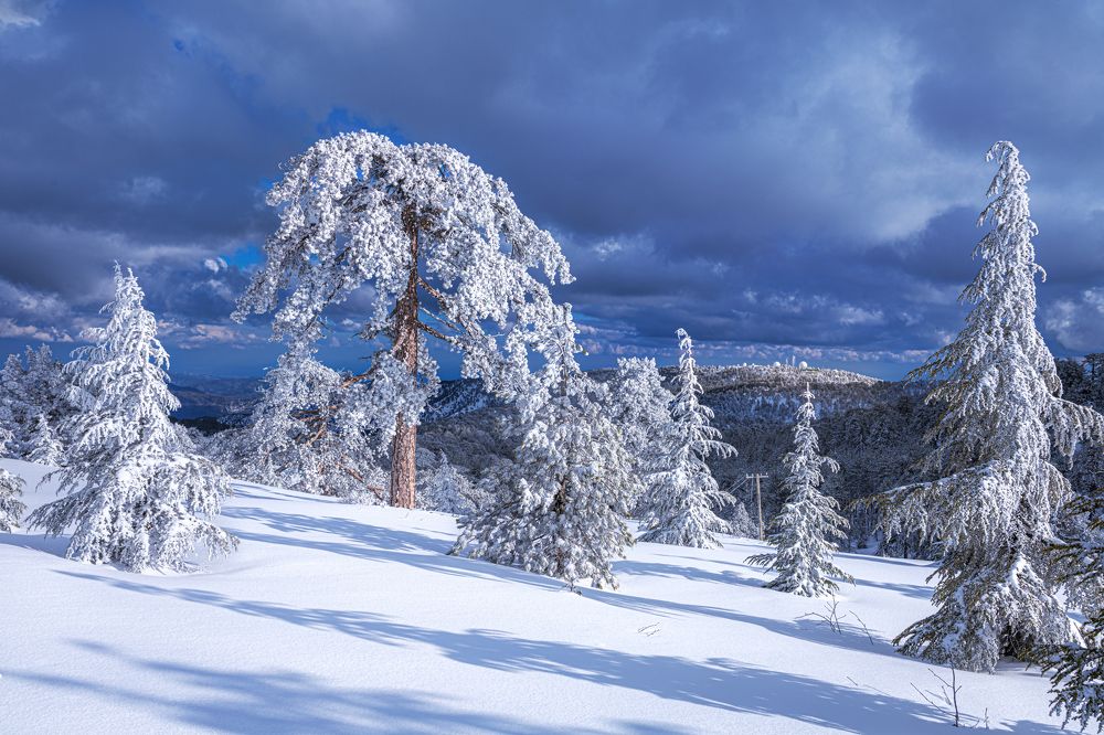 Photograph by Svetlana Tertyshnaya