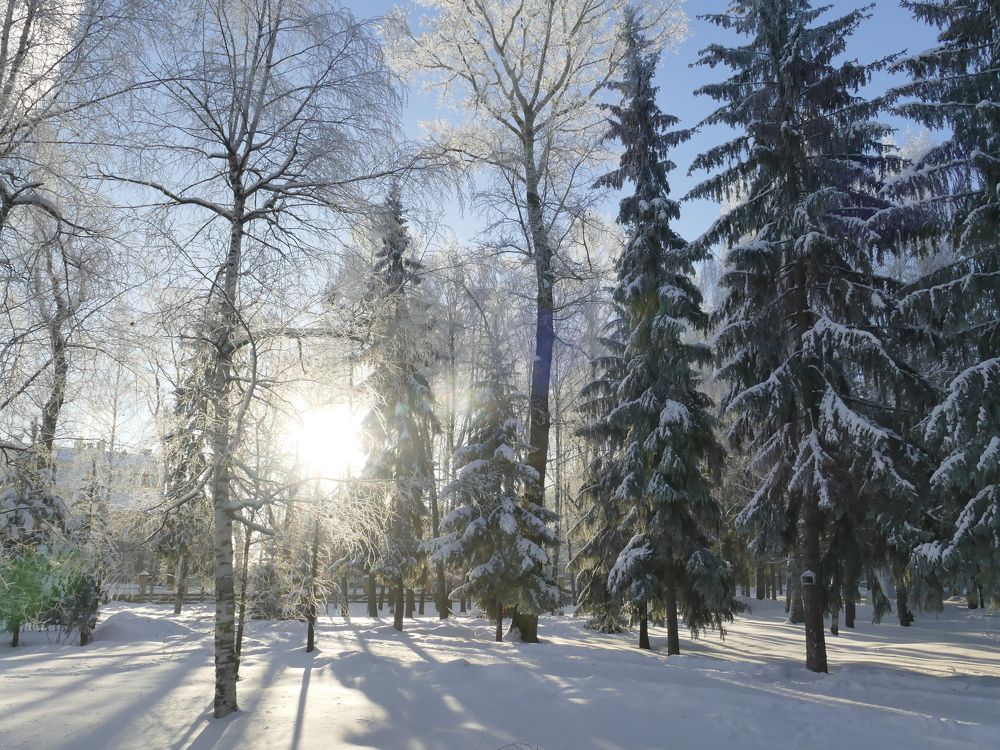 Photograph by Александр Кизим