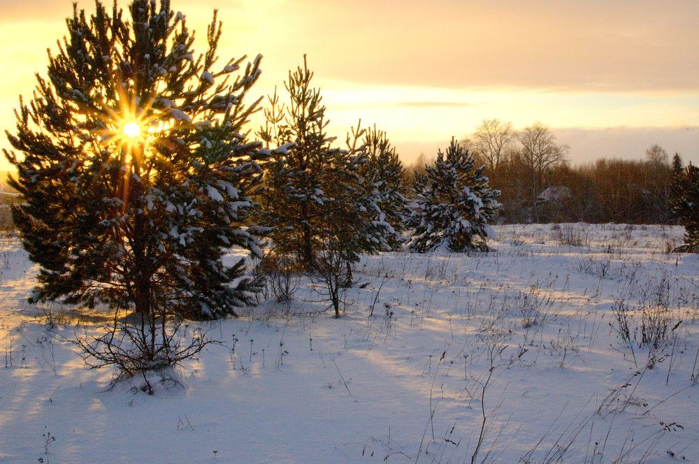 Photograph by Андрей Пляскин