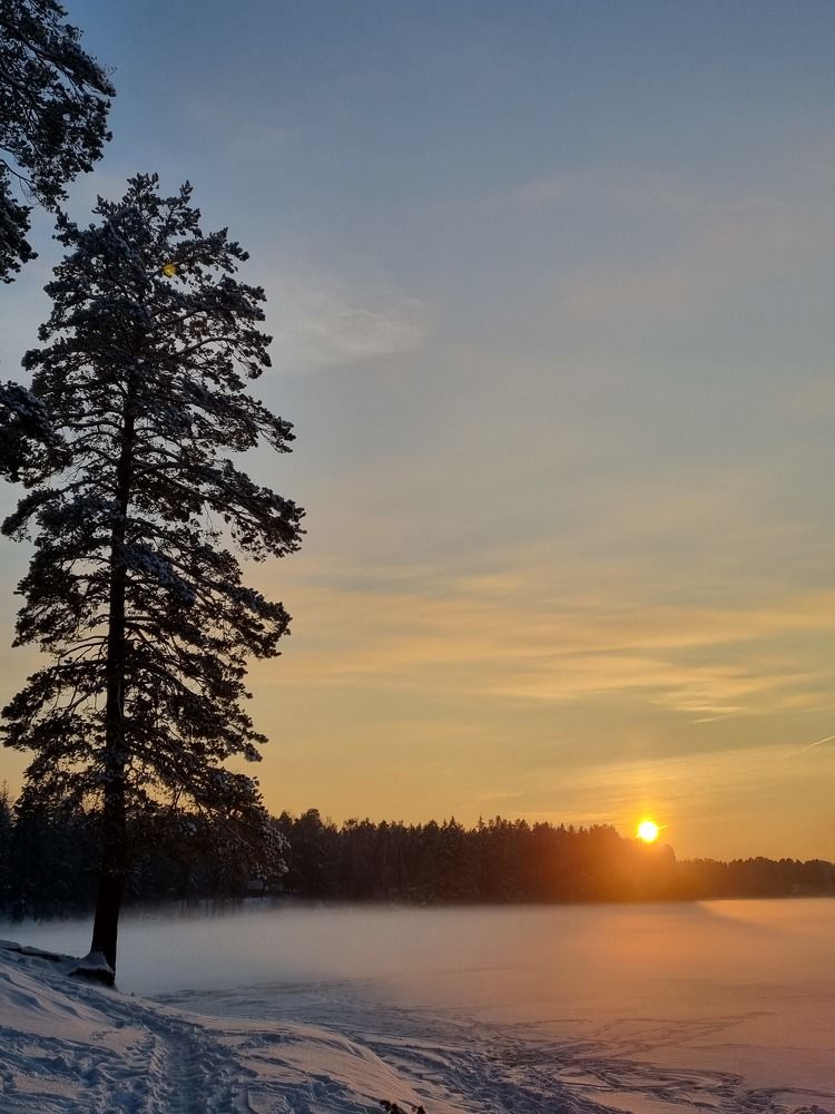 Photograph by Максим