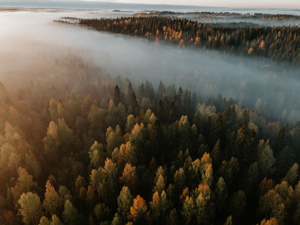 Фотография автора Андрей Дербин