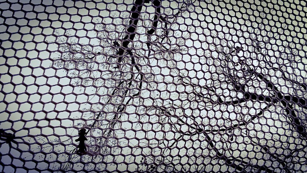 Photograph by Alexandra Kontodima