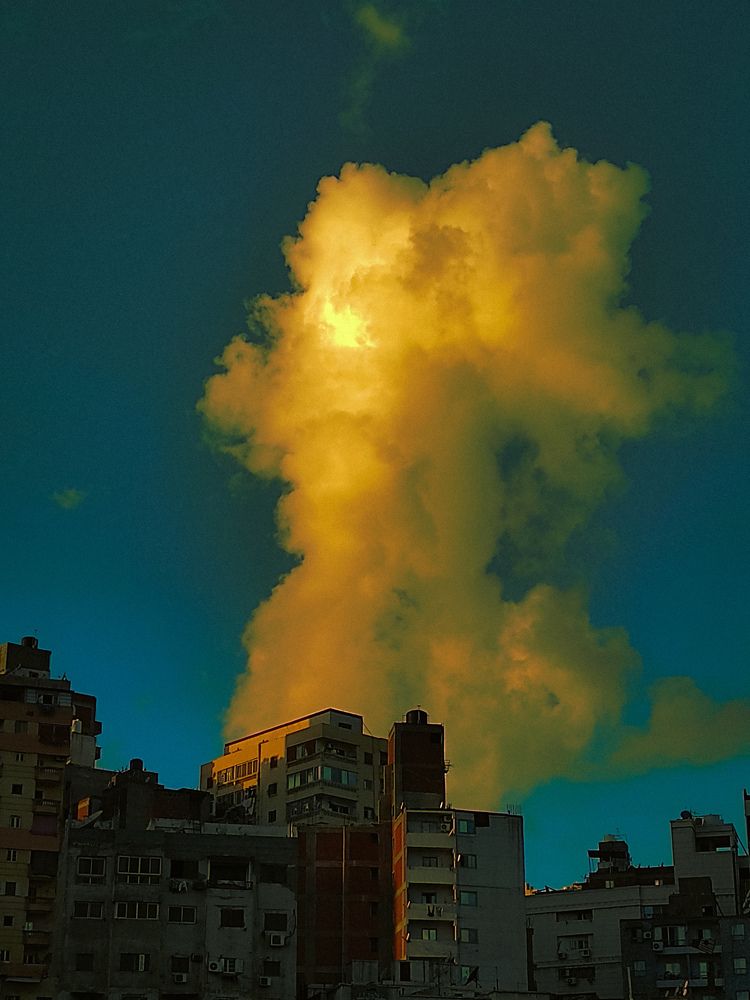 Фотография автора John Salib