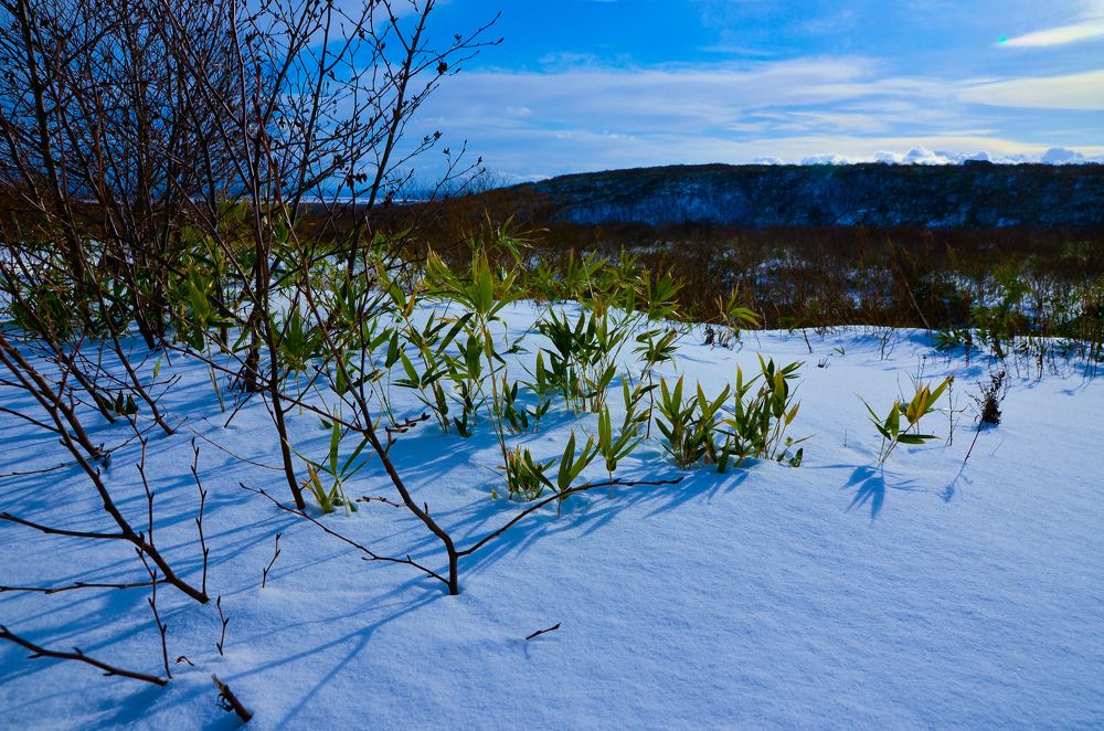 Photograph by Yrii Usoltsev