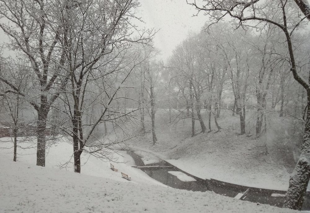 Photograph by Aliaksei Sauko