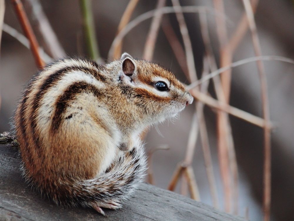 Photograph by Юлия Серазетдинова