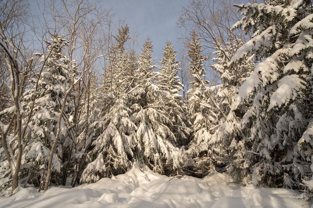 Photograph by Наталья Королева