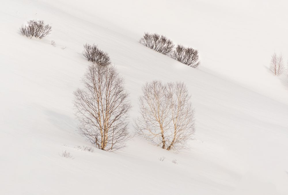 Photograph by Наталья Королева