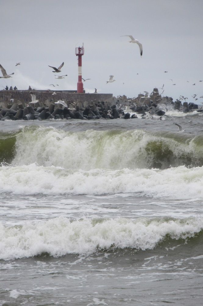 Photograph by Ирина Шведчикова