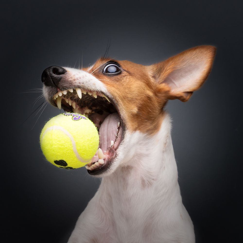 Фотография автора Bernard Sim