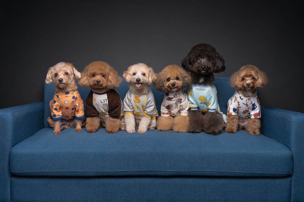 Фотография автора Bernard Sim