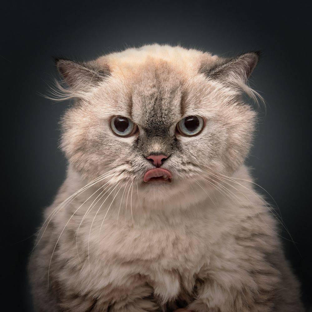 Фотография автора Bernard Sim